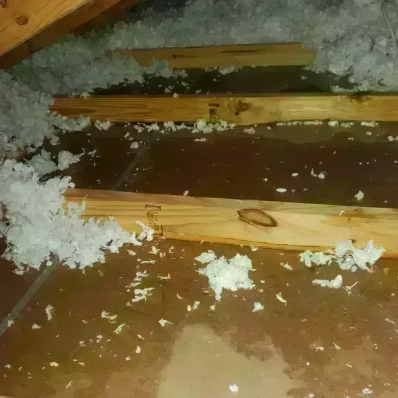 Attic Water Damage in Hancock County, TN