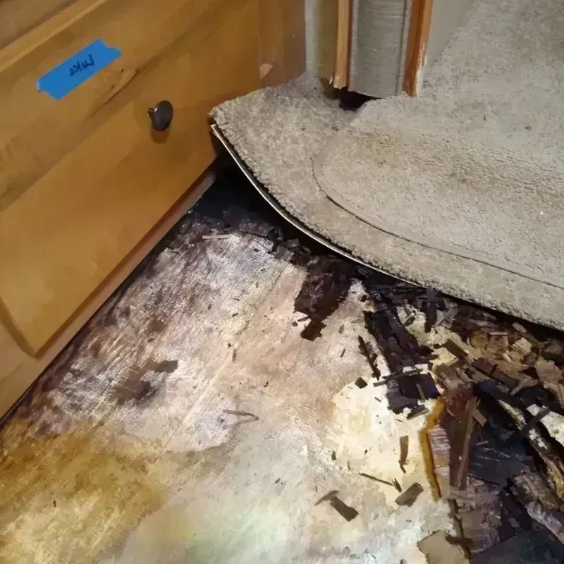 Wood Floor Water Damage in Hancock County, TN